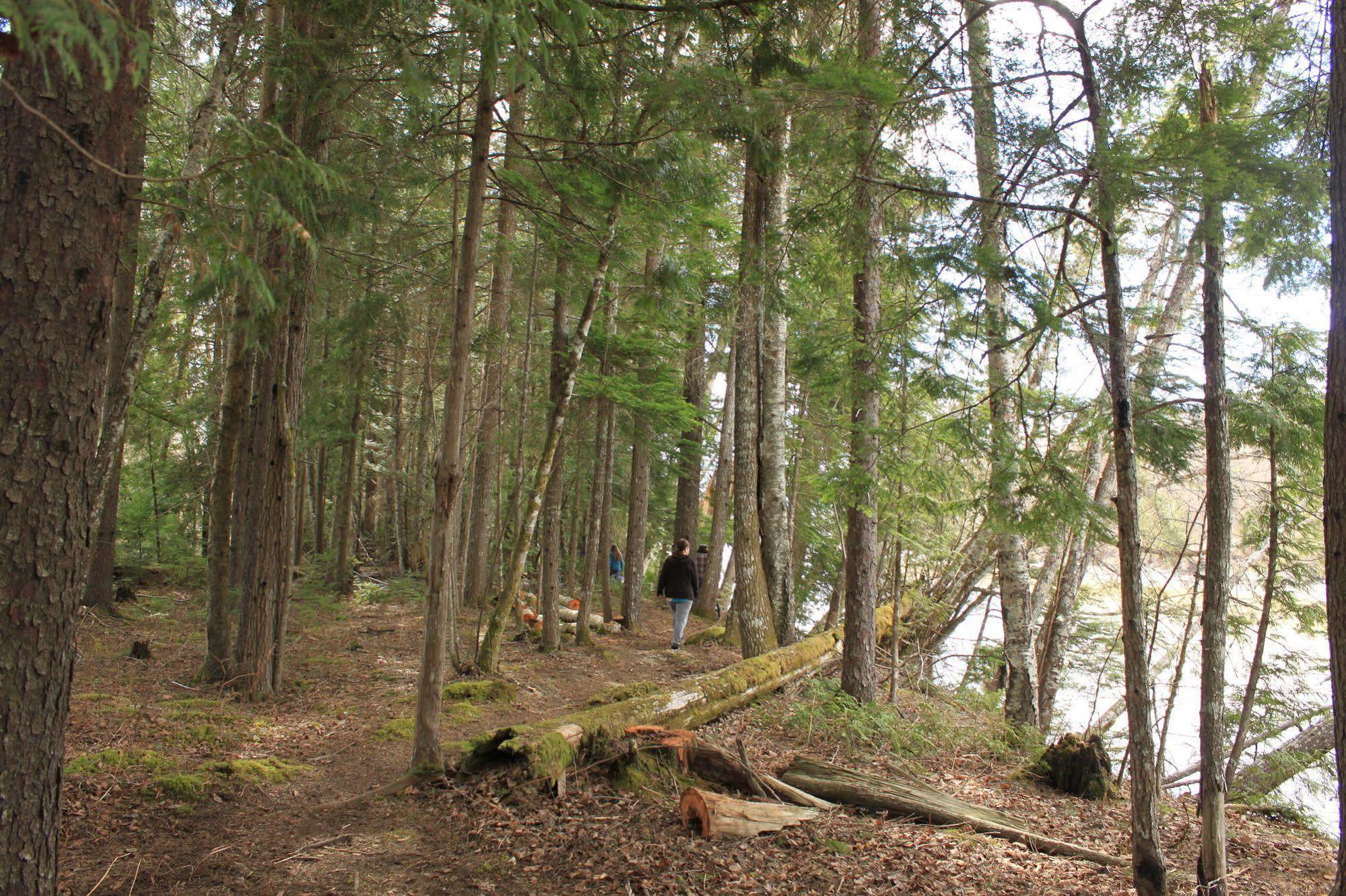 Hidden Acres Farm And Treehouse Resort 테라스 외부 사진