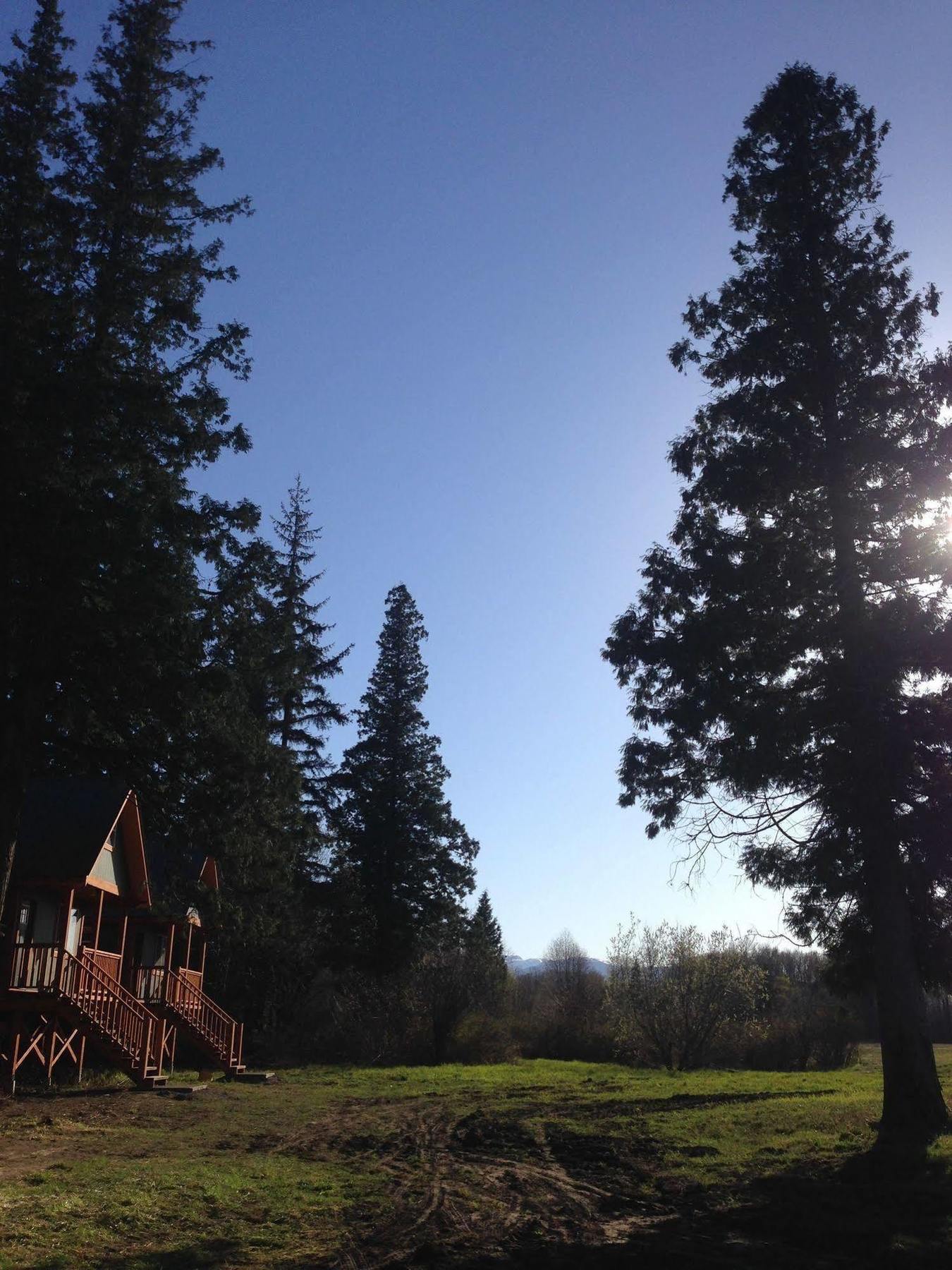 Hidden Acres Farm And Treehouse Resort 테라스 외부 사진